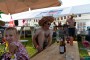 Thumbs/tn_IKW Wanroij 2022 012.jpg